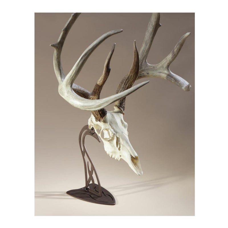 Skull Hooker Table Hooker European Trophy Mount â€“ Perfect Kit for Table Display of Taxidermy Deer Antlers and other Skulls â€“ Robust Brown - Image 3